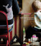 Colleen Plumb: Animals Are Outside Today by Colleen Plumb, Lisa Hostetler, 9781934435366