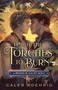 Teach the Torches to Burn: A Romeo & Juliet Remix - 9781250828477 by Caleb Roehrig, 9781250828477