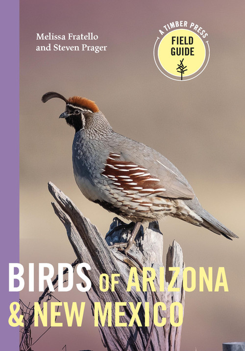 Birds of Arizona and New Mexico by Melissa Fratello, Steven Prager, 9781643261980