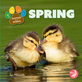 Spring - 9798890427038 by Kerri Mazzarella, 9798890427038