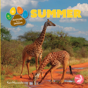 Summer - 9798890426765 by Kerri Mazzarella, 9798890426765