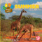 Summer - 9798890427045 by Kerri Mazzarella, 9798890427045