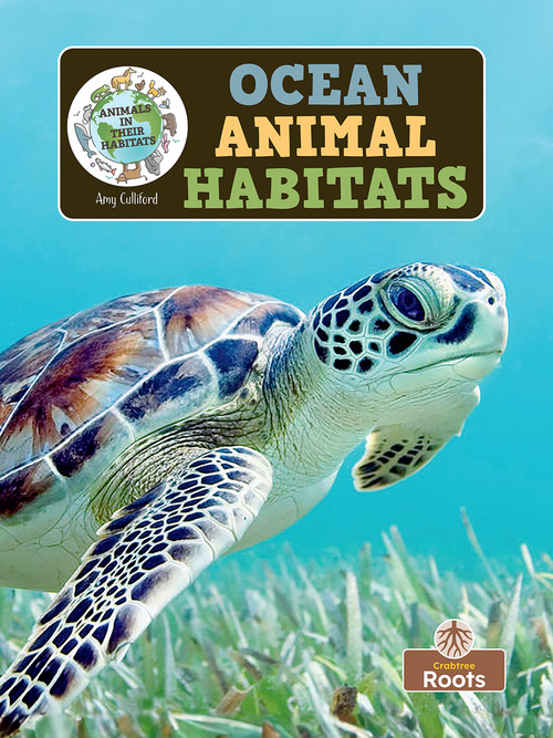 Ocean Animal Habitats by Amy Culliford, 9781039844636