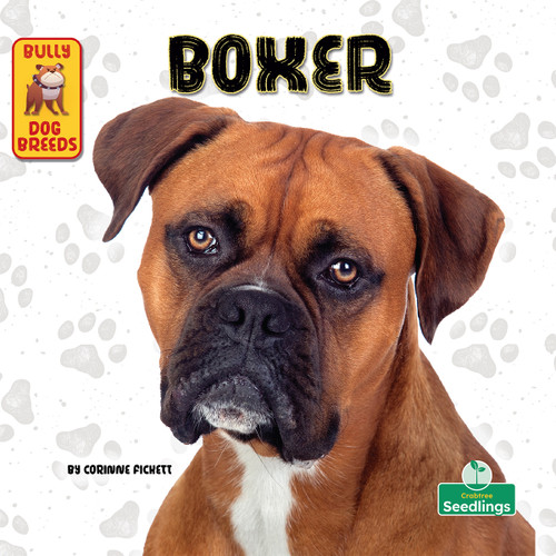 Boxer - 9781039845480 by Corinne Fickett, 9781039845480