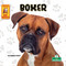Boxer - 9781039845480 by Corinne Fickett, 9781039845480