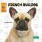 French Bulldog by Corinne Fickett, 9781039844711