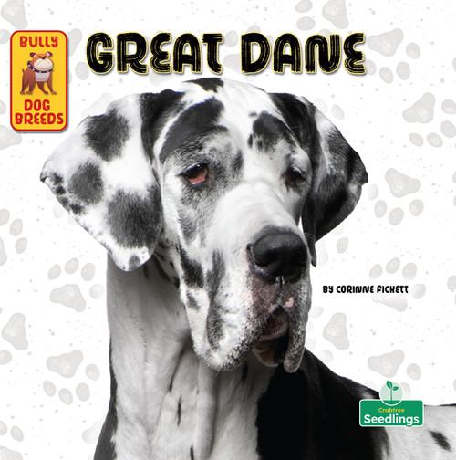 Great Dane by Corinne Fickett, 9781039844698