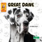 Great Dane - 9781039845503 by Corinne Fickett, 9781039845503