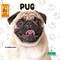 Pug - 9781039844681 by Corinne Fickett, 9781039844681
