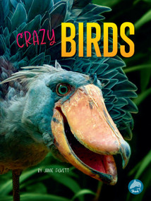 Crazy Birds - 9798890427106 by Jamie Fickett, 9798890427106