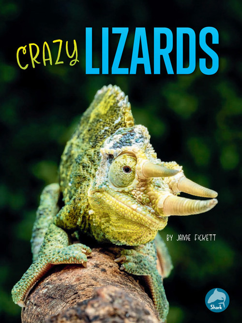 Crazy Lizards by Jamie Fickett, 9798890426833