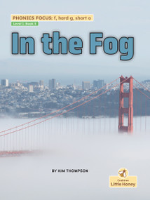 In the Fog - 9781039845114 by Kim Thompson