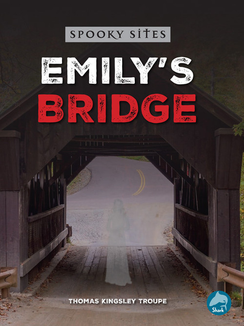 Emily's Bridge by Thomas Kingsley Troupe, 9798890426901