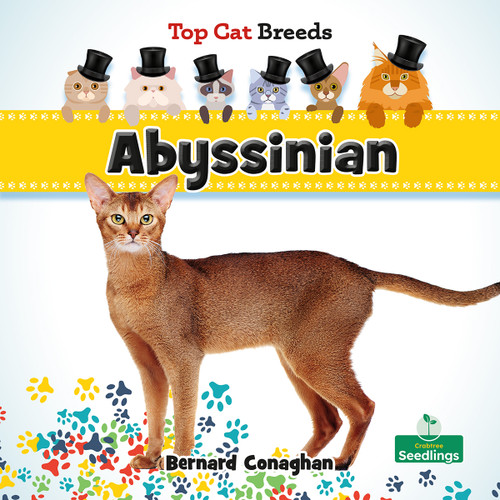 Abyssinian - 9781039839304 by Bernard Conaghan, 9781039839304