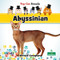 Abyssinian - 9781039839304 by Bernard Conaghan, 9781039839304