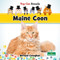 Maine Coon by Bernard Conaghan, 9781039838468