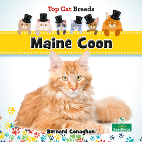 Maine Coon - 9781039839311 by Bernard Conaghan, 9781039839311