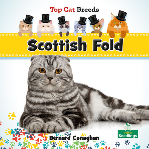 Scottish Fold by Bernard Conaghan, 9781039838482