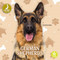 German Shepherds - 9798887359809 by Christina Earley, 9798887359809
