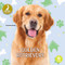 Golden Retrievers - 9798887359847 by Christina Earley, 9798887359847