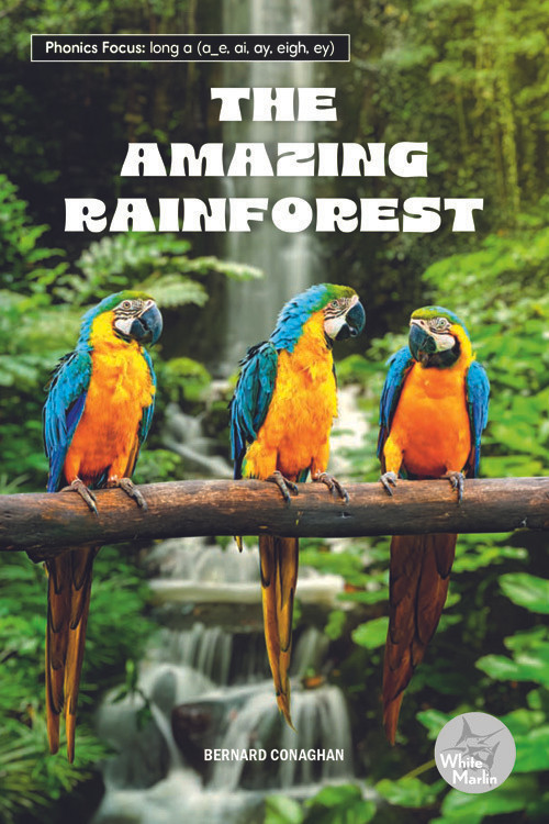 The Amazing Rainforest by Bernard Conaghan, 9798890426963