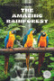 The Amazing Rainforest by Bernard Conaghan, 9798890426963