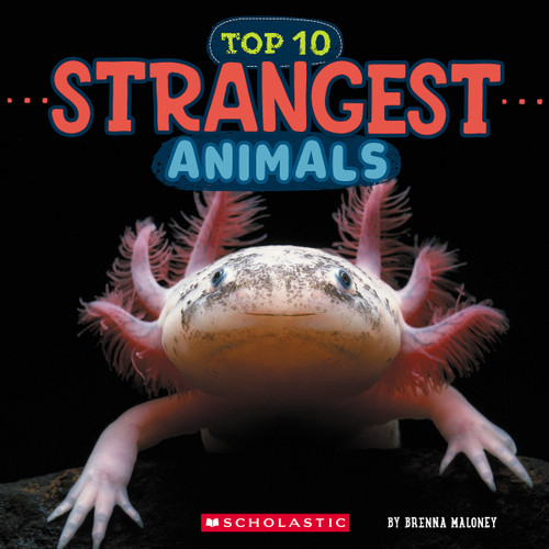 Strangest Animals (Wild World: Top 10) by Brenna Maloney, 9781546136057