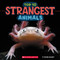 Strangest Animals (Wild World: Top 10) by Brenna Maloney, 9781546136057