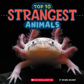 Strangest Animals (Wild World: Top 10) by Brenna Maloney, 9781546136057