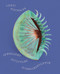 Gerti Machacek (Jewellery Sculpture) by Beatrix Kramlovsky, Lydia Mischkulnig, Elisabeth Samsonow, 9783897906990