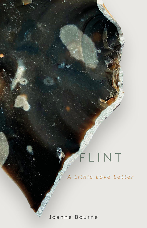 Flint (a lithic love letter) by Joanne Bourne, 9781785634086
