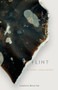 Flint (a lithic love letter) by Joanne Bourne, 9781785634086