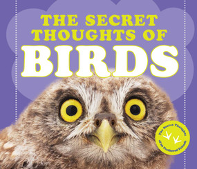 The Secret Thoughts of Birds by CJ Rose, 9781685550103