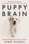 Puppy Brain (How Our Dogs Learn, Think, and Love) - 9781250867964 by Kerry Nichols, 9781250867964