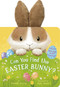 Can You Find the Easter Bunny? (With flaps to lift!) by Danielle McLean, Suzie Mason, 9781664351356