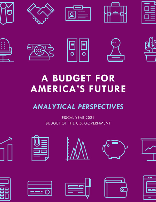 A Budget for America's Future (Analytical Perspectives, Budget of the U.S. Government, Fiscal Year 2021) by Executive Office of the President, 9781641434607