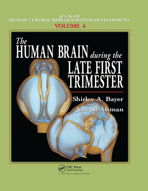 The Human Brain During the Late First Trimester by Shirley A. Bayer, Joseph Altman, 9780367390945
