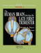 The Human Brain During the Late First Trimester by Shirley A. Bayer, Joseph Altman, 9780367390945