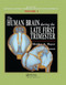 The Human Brain During the Late First Trimester by Shirley A. Bayer, Joseph Altman, 9780367390945