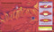 Mission to Mars (Can You Survive in Space?) by DK, 9780593847275
