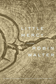 Little Mercy (Poems) by Robin Walter, 9781644453308