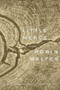 Little Mercy (Poems) by Robin Walter, 9781644453308