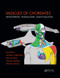 Muscles of Chordates (Development, Homologies, and Evolution) by Rui Diogo, Janine M. Ziermann, Julia Molnar, Natalia Siomava, Virginia Abdala, 9781138571167