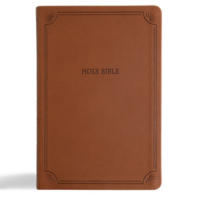 NASB Large Print Thinline Bible, Value Edition, Brown LeatherTouch by Holman Bible Publishers, 9798384517993