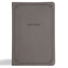 NASB Large Print Thinline Bible, Value Edition, Charcoal LeatherTouch by Holman Bible Publishers, 9798384518006