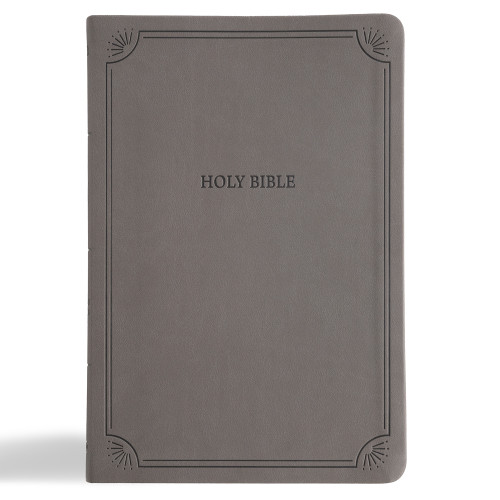 NASB Large Print Thinline Bible, Value Edition, Charcoal LeatherTouch by Holman Bible Publishers, 9798384518006