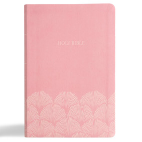 NASB Large Print Thinline Bible, Value Edition, Soft Pink LeatherTouch by Holman Bible Publishers, 9798384518013