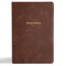 CSB Grace Bible, Brown LeatherTouch (Dyslexia Friendly) by 2K/DENMARK, CSB Bibles by Holman, 9798384518242