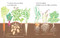 Las plantas me alimentan (Spanish Edition) by Lizzy Rockwell, 9780823460007