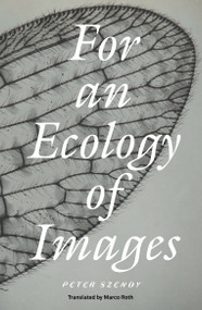 For an Ecology of Images by Peter Szendy, Marco Roth, 9781804294314